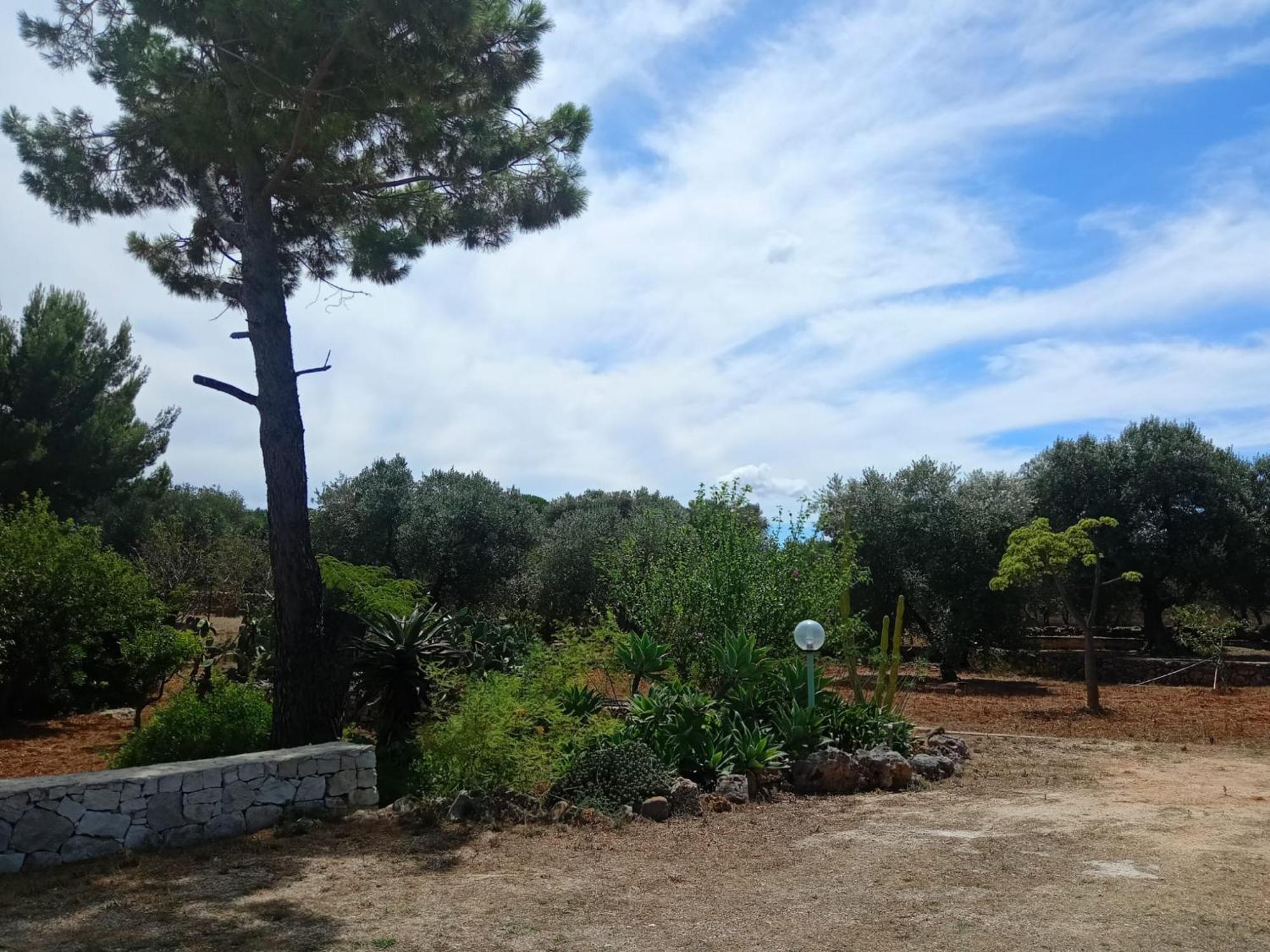 Villa Del Sole Specchiolla Exteriör bild